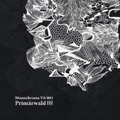 𝐏𝐫𝐞𝐯𝐢𝐞𝐰𝐬 : Primärwald III • Monochrome VA·003 [MCR05]