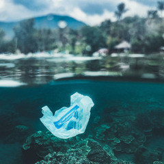 CLIP: 'We are choking with plastic' experts warn at UN Ocean Conference