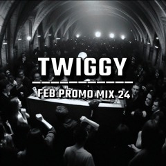 Twiggy- Promo Mix Feb 24