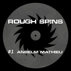 Rough Spins #1 Anselm Mathieu