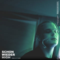 SIERRA KIDD - SCHON WIEDER HIGH (COVER)