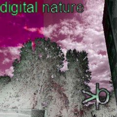 digital_nature