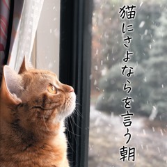 猫にさよならを言う朝