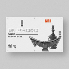TERROR BASS-Burmses Vibe(PAiN Flip)