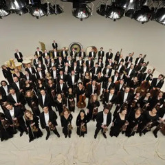 Scarscape [2025] RSO Wien [extract]