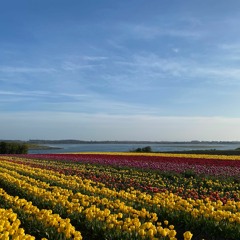 fix it to break it cover