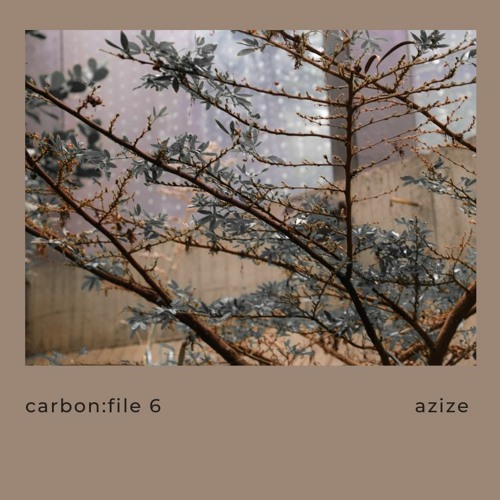 carbon:file 6 - azize