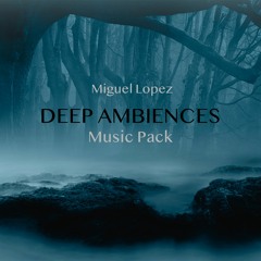 Deep Ambiences (Game Music Pack) | SAMPLER