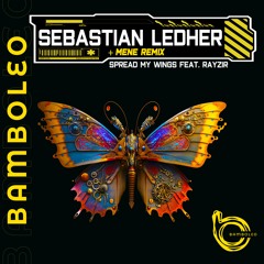Sebastian Ledher - Cause Like