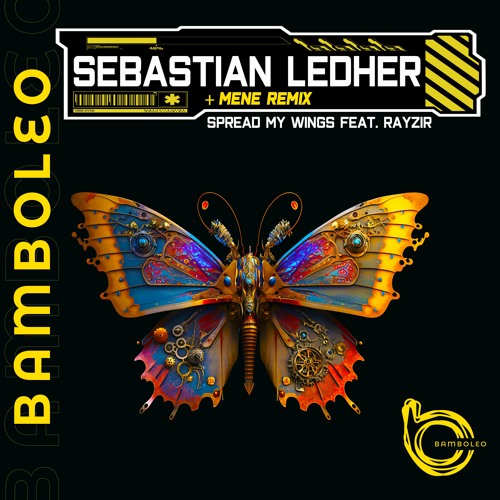 Sebastian Ledher - Cause Like
