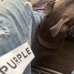 Topoppgen - Don't save her (Slowed)