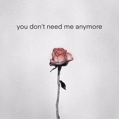 you don't need me anymore - Danny O'Grady & toldyou