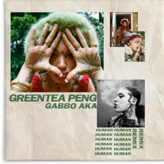 Greentea Peng - Human (Gabbo AKA REMIX)