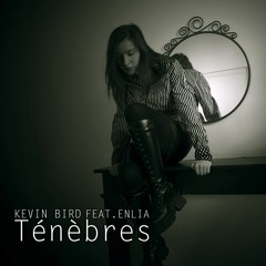 Ténèbres (feat Enlia) (Darkness - French)