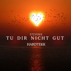 tu dir nicht gut-aleyna (HARDTEKK)