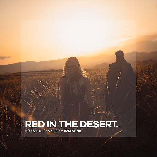 Boris Brejcha x Poppy Baskcomb - Red In The Desert