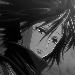 -21-2-Mikasa Ackerman