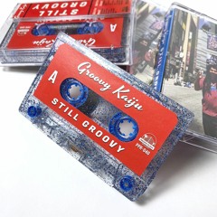 Live For The Time - New Album "Still Groovy" OUT NOW!