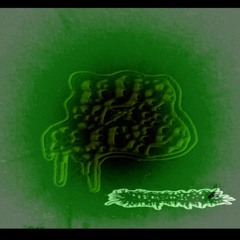 diy grind crust punk blackened crust mince gore grind core