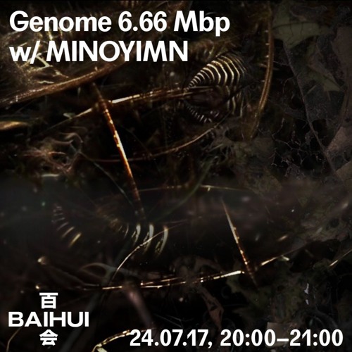 Genome 6.66 Mbp w/ Minoyimn on Baihui Radio