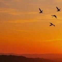 reminiscing freestyle