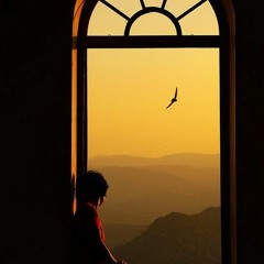 Erdem Oral | Ne Oldu