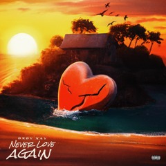 Never Love Again