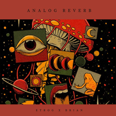 EtRog x brian - Analog Reverb