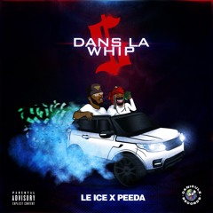 5 dans la whip (feat. Peeda)