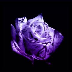 d4vd - Romantic Homicide (Punkza Remix)