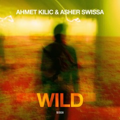 Ahmet Kilic & Asher Swissa - Wild