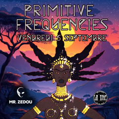 Primitive Frequencies - DJ set 5h - Le Zinc