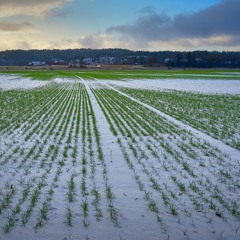 2.논에 물 빼는 소리