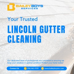 Bailey Boys Services - Gutter Cleaning Lincoln