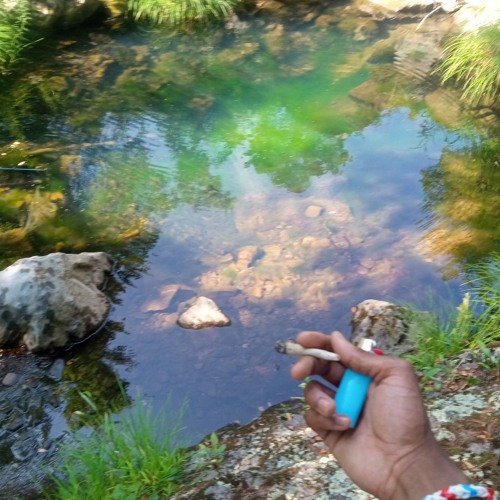 RellFrmDb x Mdott177 Ticket 🎫