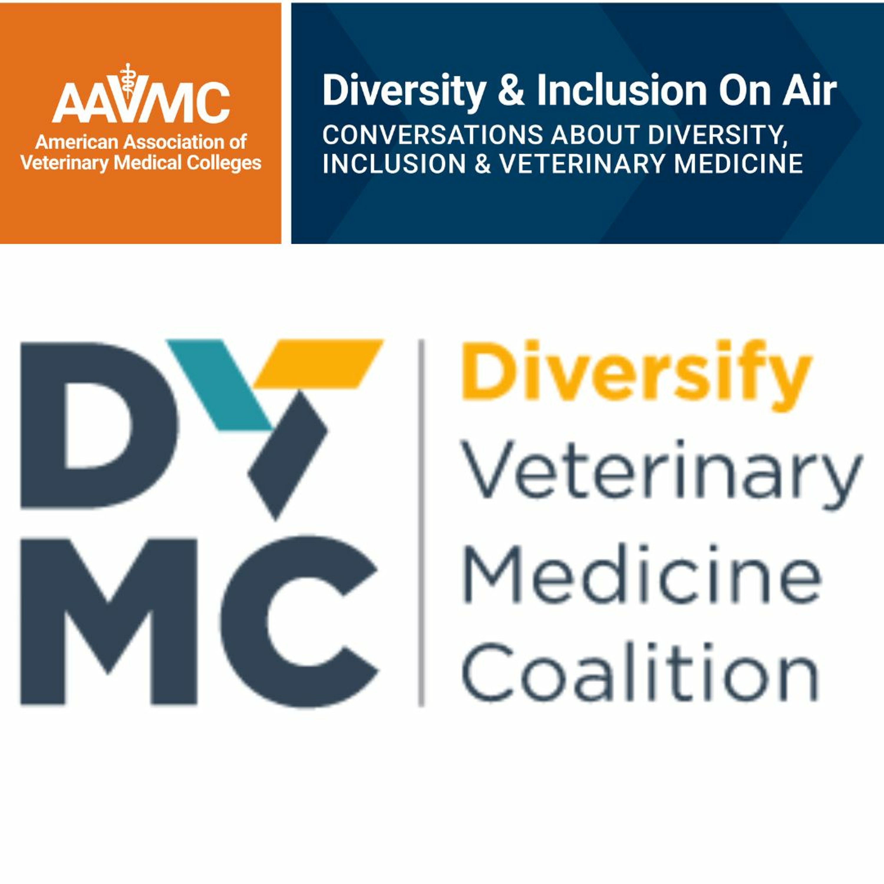 AAVMC\'s On Air: Conversations about Issues in Veterinary Medicine