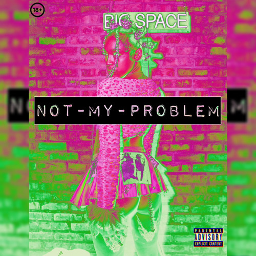 Not My Problem Remix