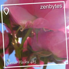 scent of a rose - Naviarhaiku 483
