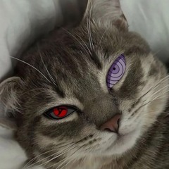 //MonSWOON\\ gUrUwVIP