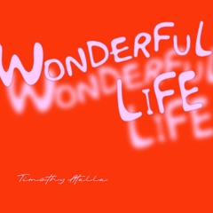 WONDERFUL LIFE by Timothy Atalla