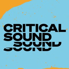 Mix Critical Sound Toulouse (Calyx, Enei, Kasra, Visla)