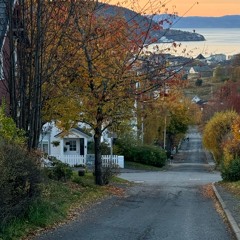 Leafs