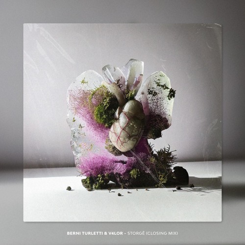 Berni Turlett & V4LOR - Storgē (Closing Mix) Free Download