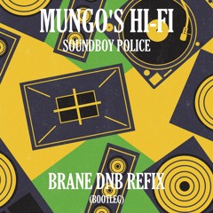 [FREE DL] Mungo's Hi-Fi - Soundboy Police (DNB REFIX)