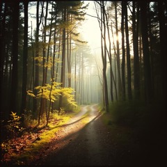 journey_of_life_and_death_ea64f0c7-29f6-4f16-aa48-c59fad7bafcd.mp3
