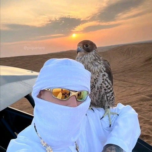 S E T - PERREITO DE MOMENTO Vol. 1 (MIXED BY STIVEN PRADA)