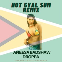 Aneesa Badshaw - Hot Gyal Sumn [REMiX](ft Droppa)