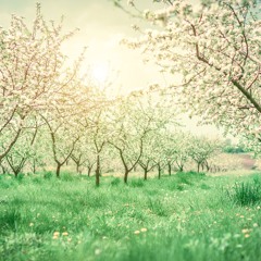 내 평생 여호와의 집에 거하리 - Yearning to Dwell Forever in HIs House