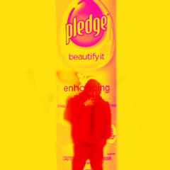 Pl3dge Freestyle