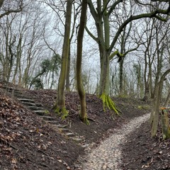 Ick steh hier in det nasse Grau